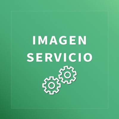 Servicio 1 Servicio 1